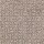 Mohawk Carpet: Flawless Vision Taupe Shadow